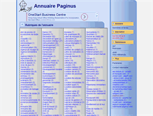 Tablet Screenshot of paginus.com